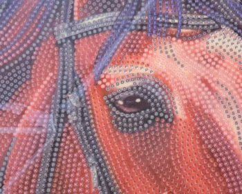 crystal art plakat konie bez opak2 cas plakat.mix